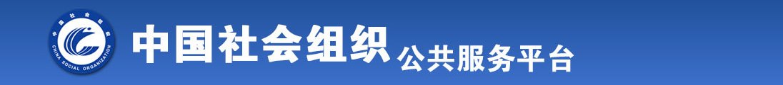 欧美操笔内天全国社会组织信息查询